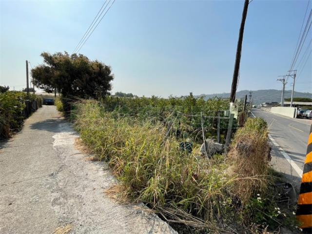 高雄燕巢農地-3