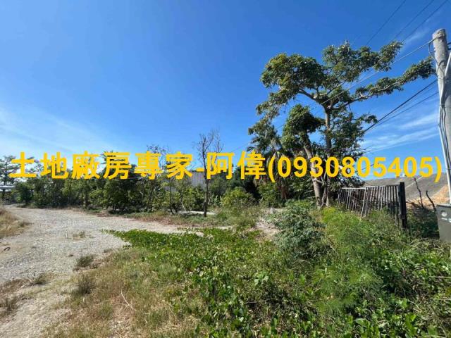 安南區近台江大道台17甲都市計劃增值美農地