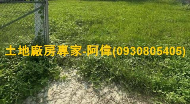 燕巢農地-0
