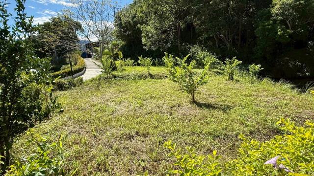 新竹橫山農地-9