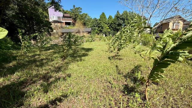 新竹橫山農地-3