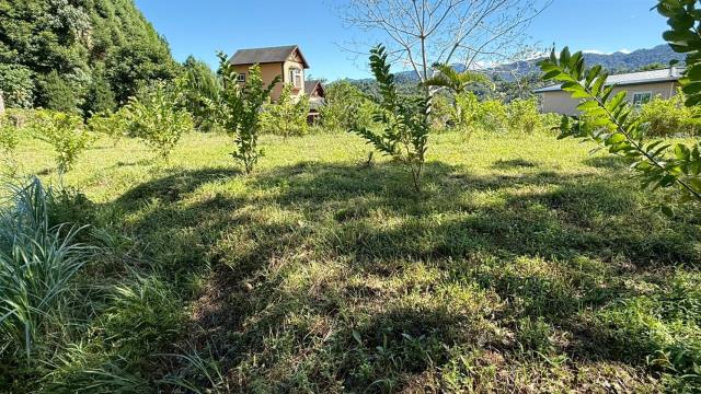 新竹橫山農地-6