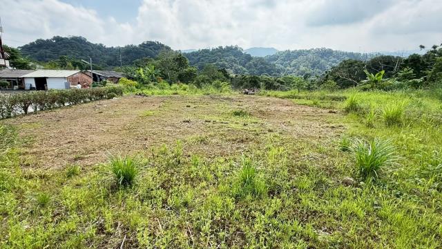 芎林土地芎林農地