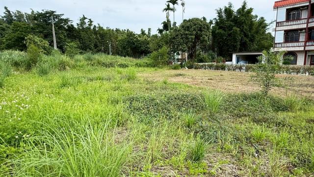 新竹橫山農地-4