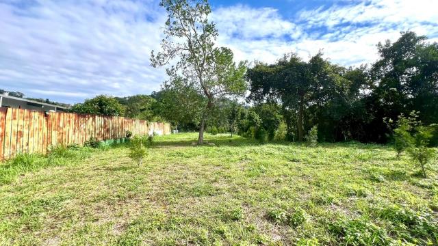 新竹竹東農地-9