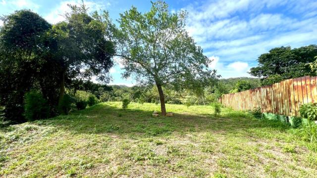 新竹竹東農地-10