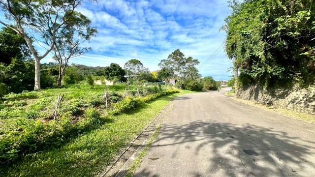 新竹竹東農地-13