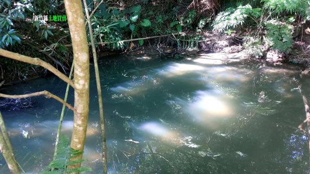 新竹竹東農地-14