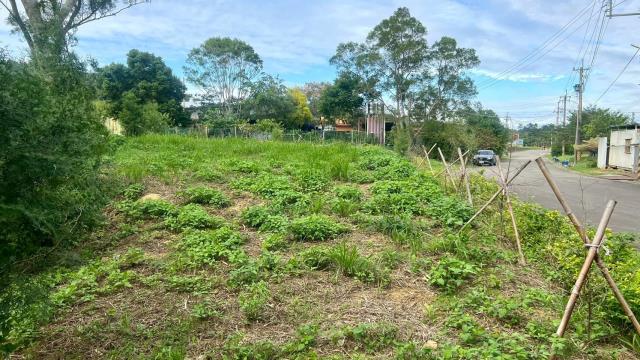 新竹竹東農地-2