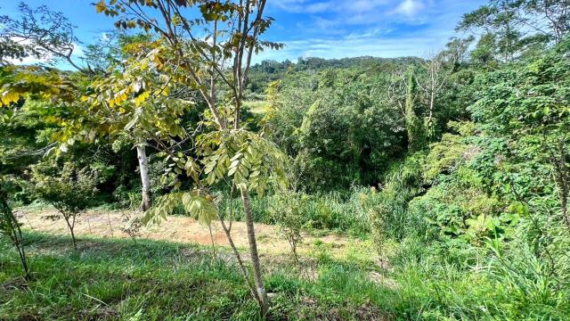 新竹竹東農地-8