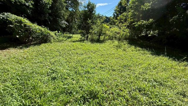 新竹關西農地-9