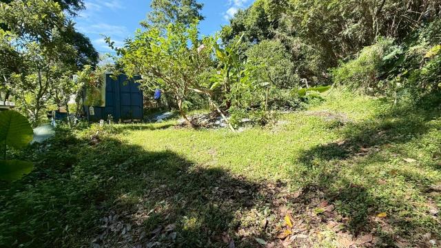 新竹關西農地-12