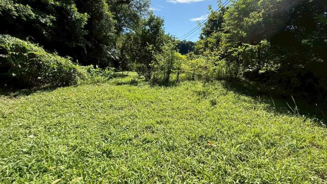 新竹關西農地-5