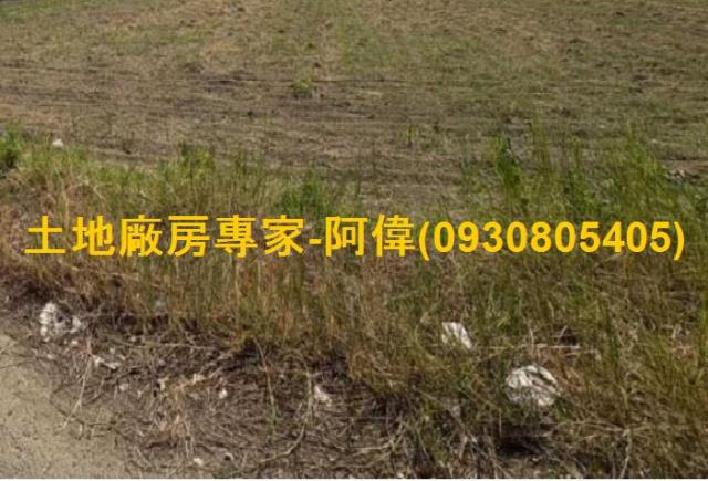 路寬30米面寬92米魚塭地