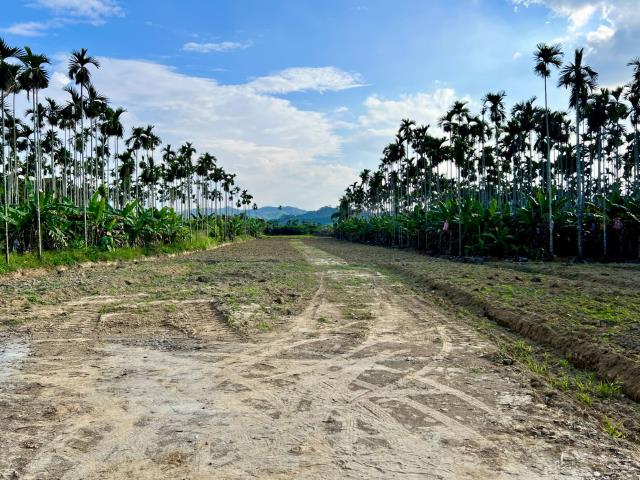 南投土地買賣南投買賣土地草屯土地買賣草屯買賣土地