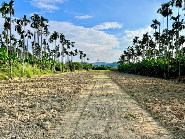 南投中寮農地-1