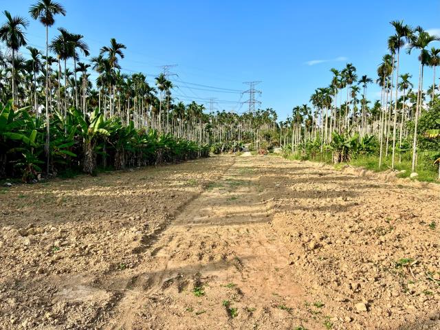 南投中寮農地-3