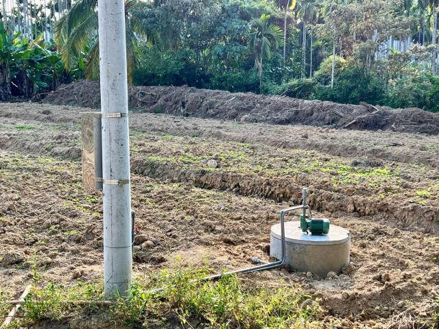 南投中寮農地-6