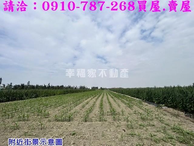 台南農地-5