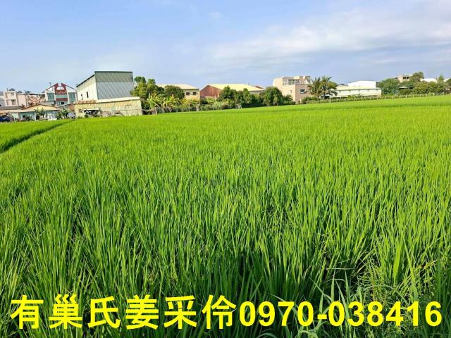 嘉義西區農地-5