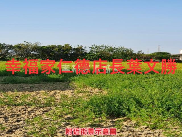 台南善化農地-11