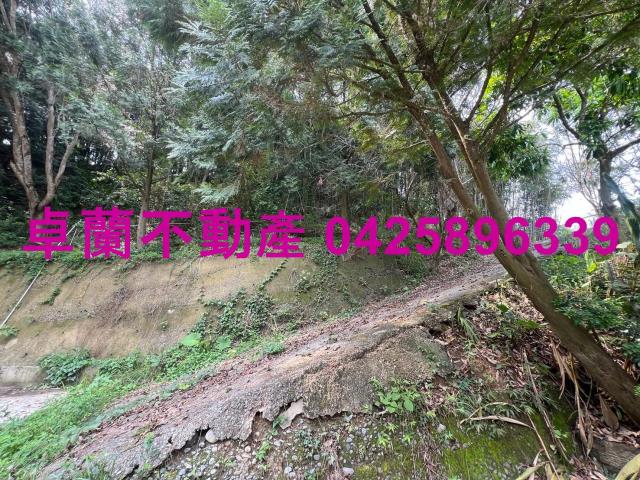 苗栗卓蘭農地-9