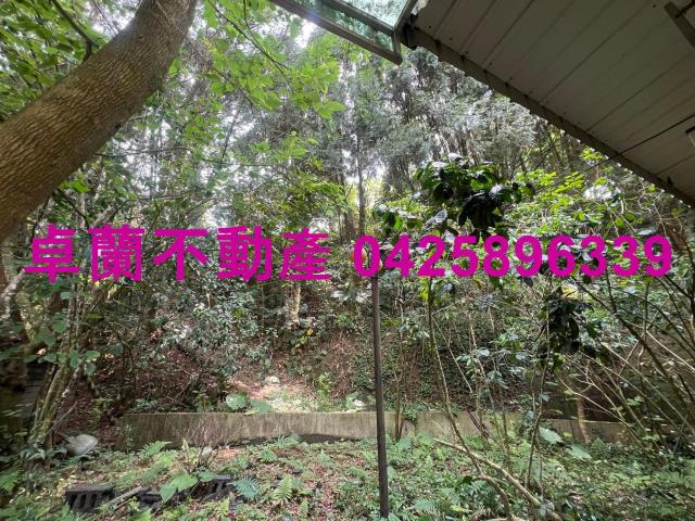 苗栗卓蘭農地-11