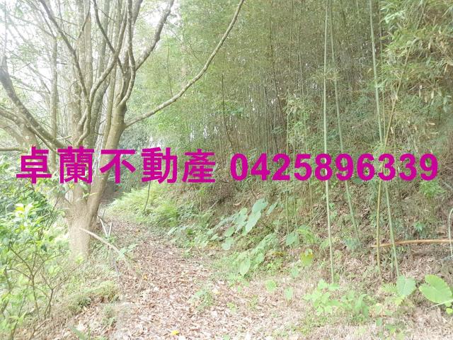 苗栗卓蘭農地-4