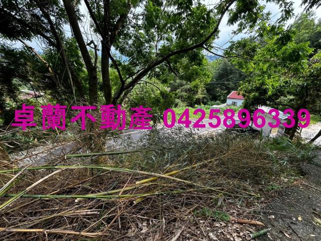 苗栗卓蘭農地-7