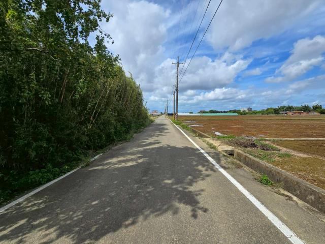 桃園新屋農地-9