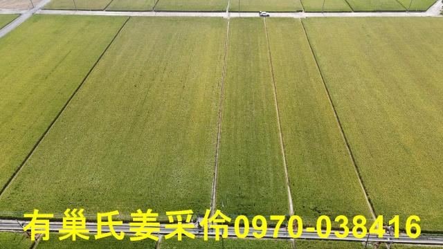 嘉義溪口農地-10