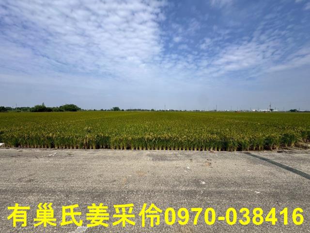 嘉義溪口農地-2