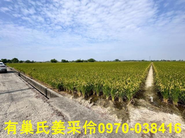 嘉義溪口農地-3