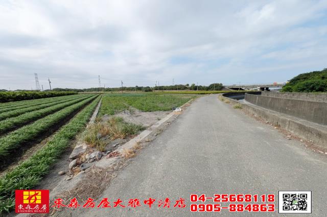溪州農地-6