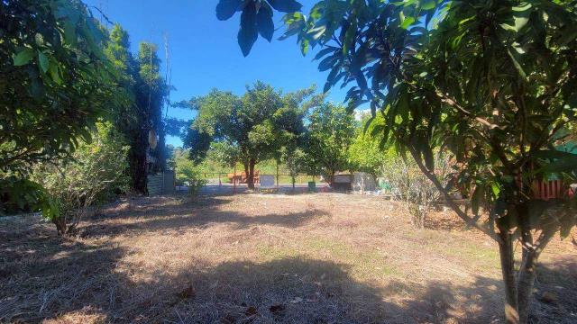 新竹縣湖口鄉新義路泳池莊園春明地產035551111