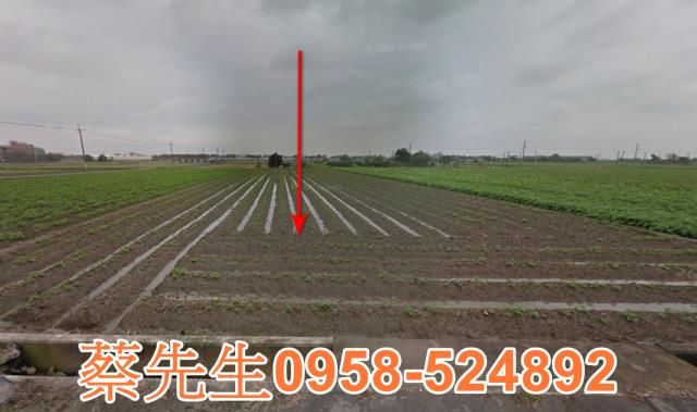 東勢下路利潭農舍地興建農舍種植農作物