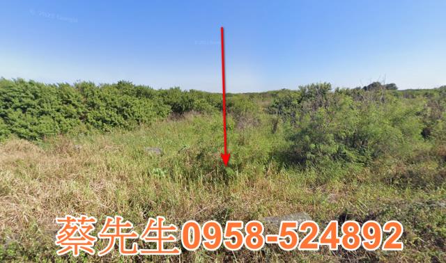 水林大溝村農舍地興建農舍種植農作物