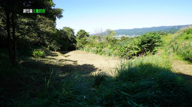 新竹農地-10