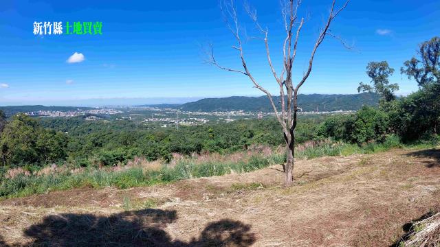 新竹農地-3