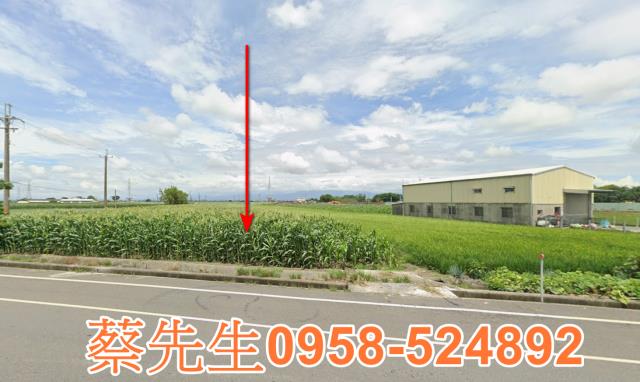 水林松北村農舍地興建農舍種植農作物