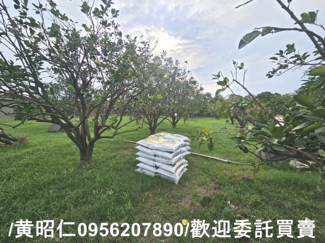 台南麻豆農地-1