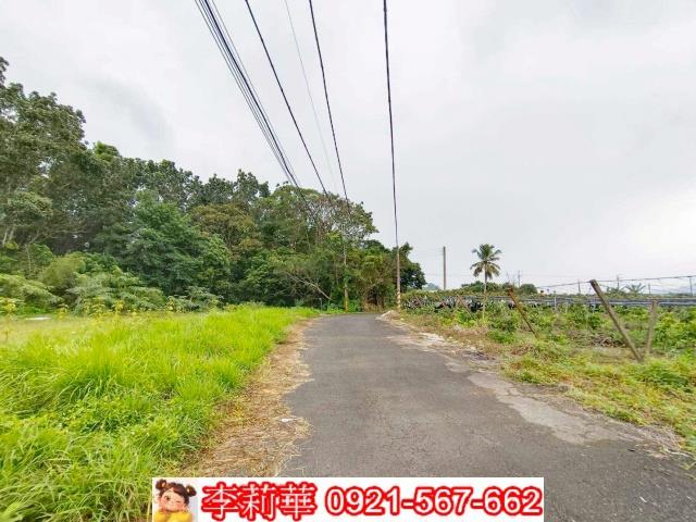 左鎮區山豹段竹林農地