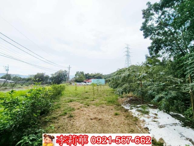 台南楠西農地-7