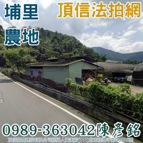 埔里農地法拍-0