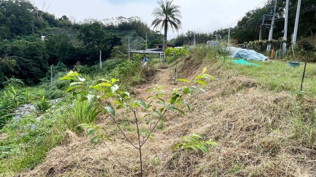 新竹寶山農地-9