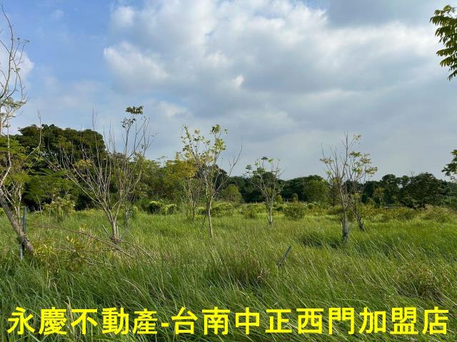 台南楠西農地-2