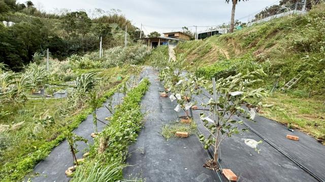 新竹寶山農地-9