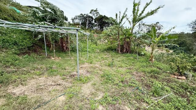 新竹寶山農地-11