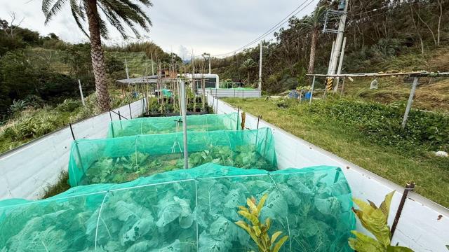 新竹寶山農地-2