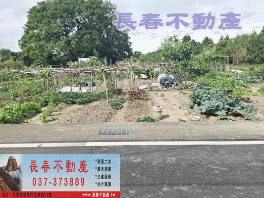 8F010苗栗都計內美田雙面臨路